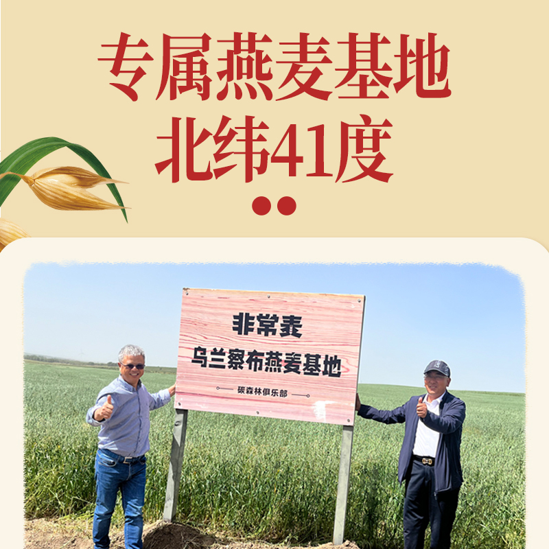 非常麦燕麦奶饮料植物奶0胆固醇燕麦饮早餐奶Omega-3燕麦奶200ml