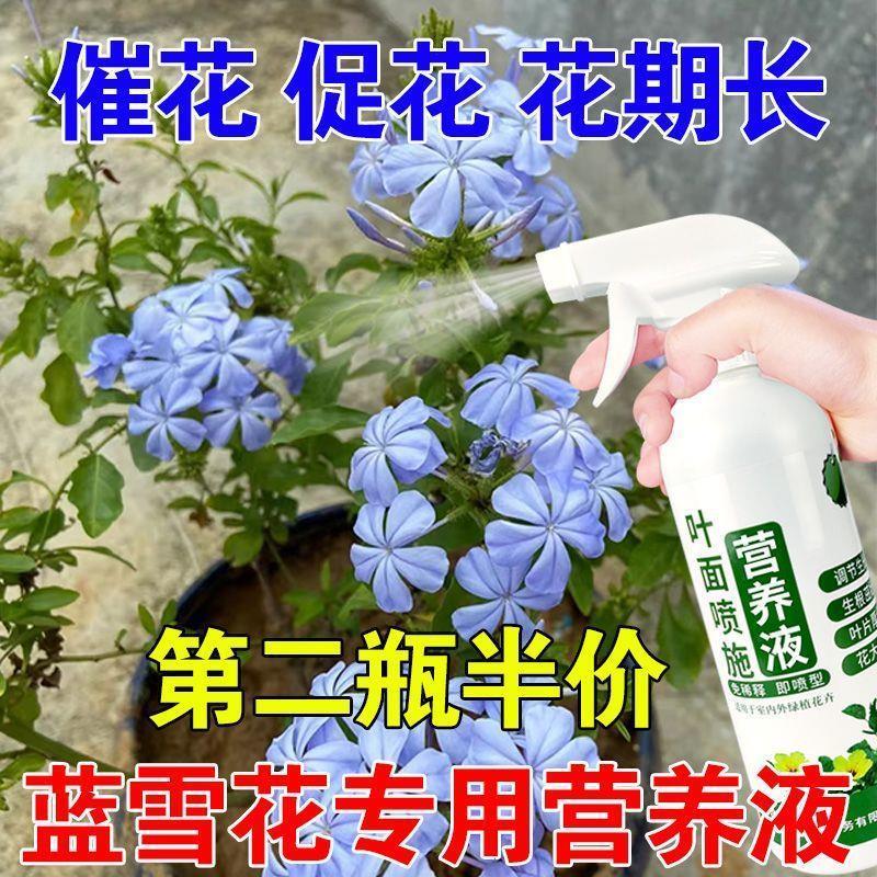 适合各种花的营养液蓝雪花专用营养液催花促花防落蕾四季叶面喷施 - 图1