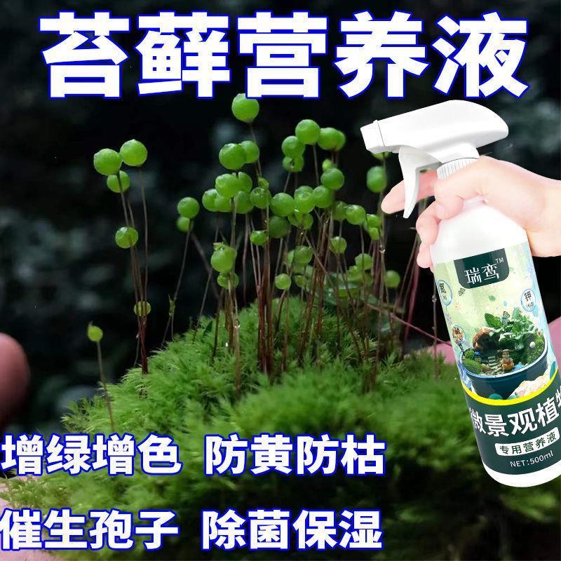 生根药水营养液苔藓植物营养液青苔微景观迷你植酸性植物叶面喷施 - 图1