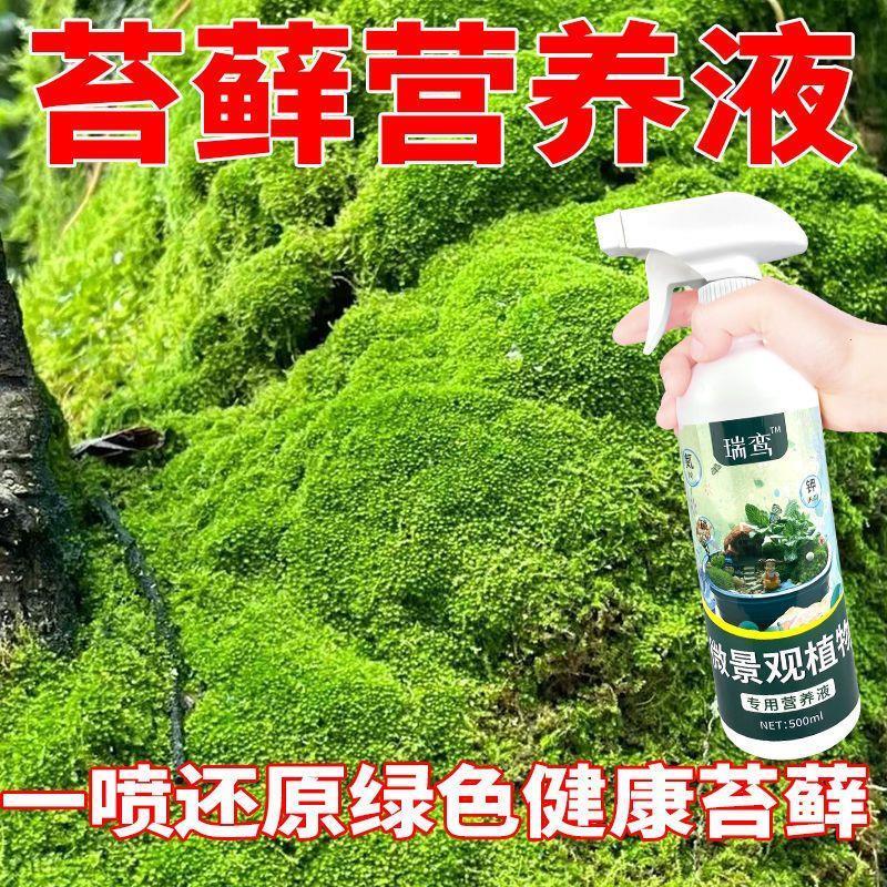 生根药水营养液苔藓植物营养液青苔微景观迷你植酸性植物叶面喷施 - 图0