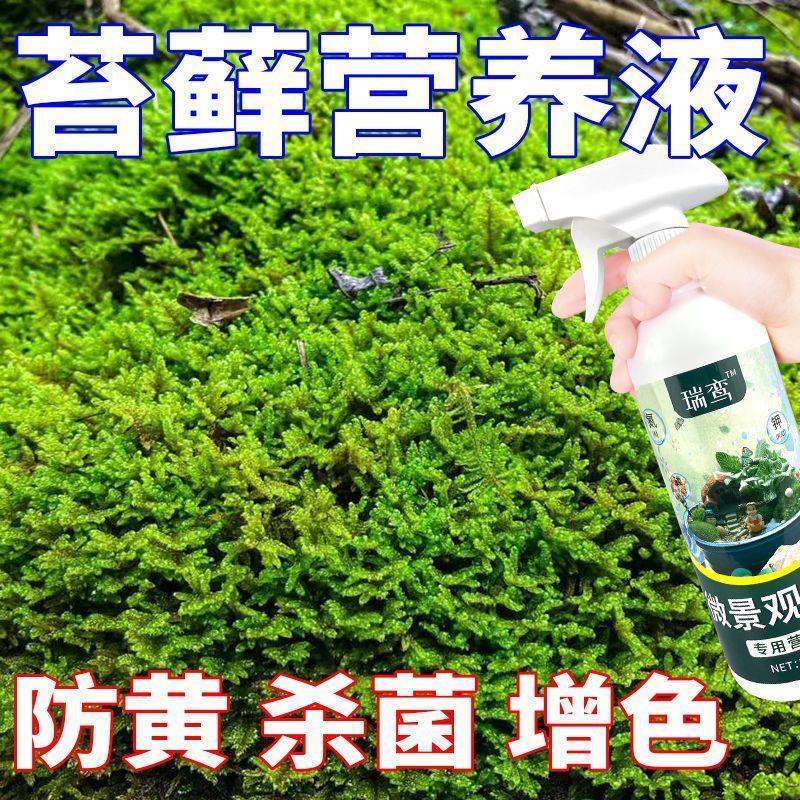 生根药水营养液苔藓植物营养液青苔微景观迷你植酸性植物叶面喷施 - 图2