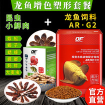 Thousands Lake Red Dragon Feed G1G2 Suit Proud of Deep Red Dragon fish Zen red and bright tropical freshwater fish Golden Dragon Fish Fish Food