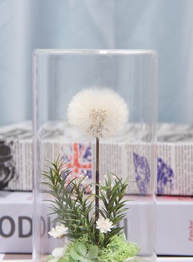 干花摆件永生花玻璃管蒲公英礼物