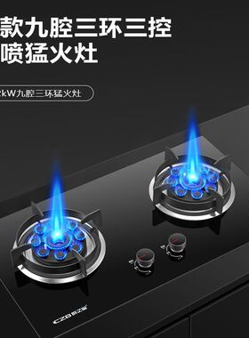 厨之宝燃气灶双灶爆炒九