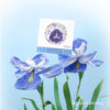 Stationery stickers handbook stickers daparoyeung