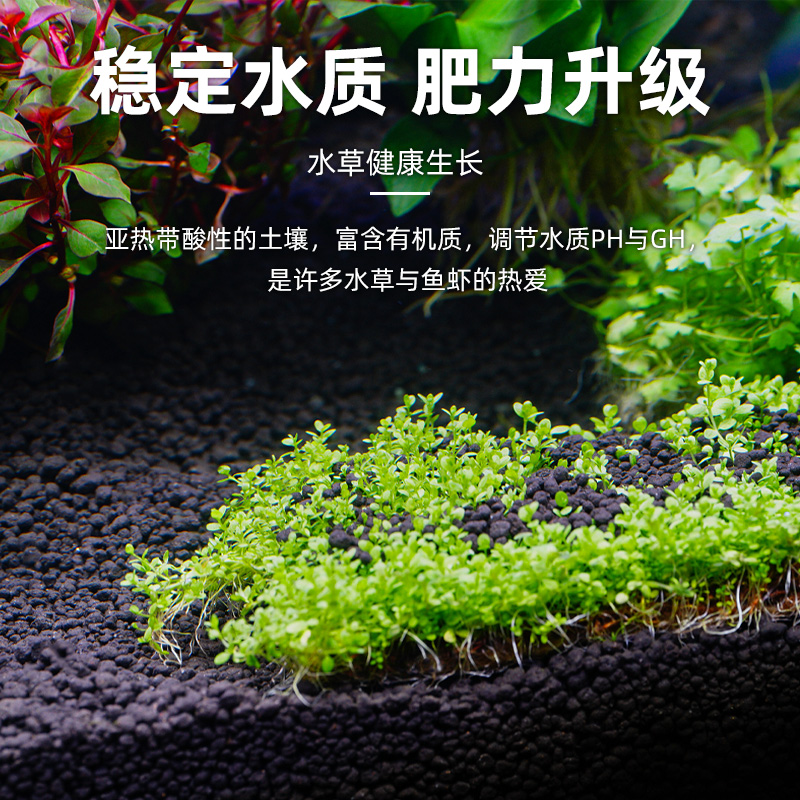 鱼缸专用水草泥陶粒砂水草种子水藻泥免洗不粉化生态底砂造景底沙 - 图3