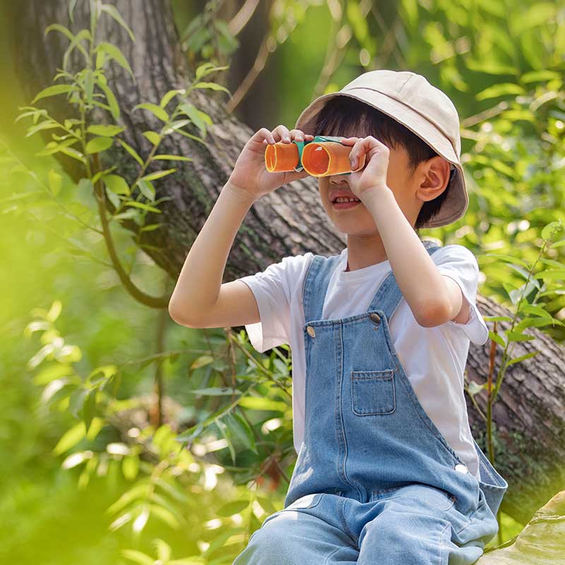 儿童昆虫观察盒多功能户外探索捕虫网抓捉蝴蝶养蚕专用盒春游玩具 - 图3