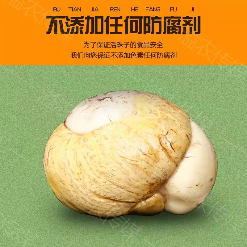 鲜客侠活珠子新鲜13天五香味40枚开袋即食无毛鸡蛋红壳熟制鸡胚 - 图2