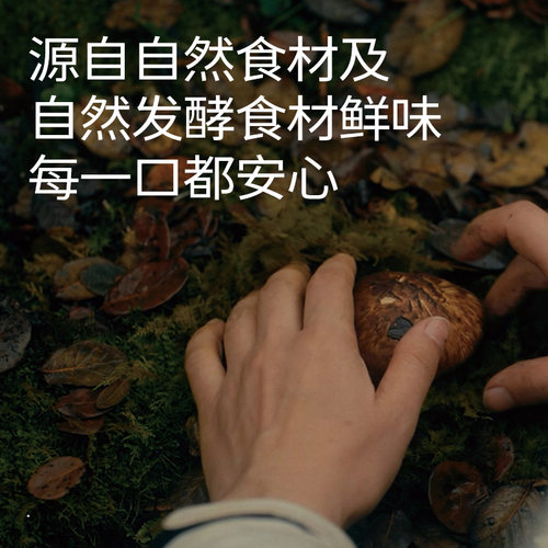 松鲜鲜松茸调味料松茸鲜调味品可代替鸡精盐炒菜调味含菌菇粉100g - 图1