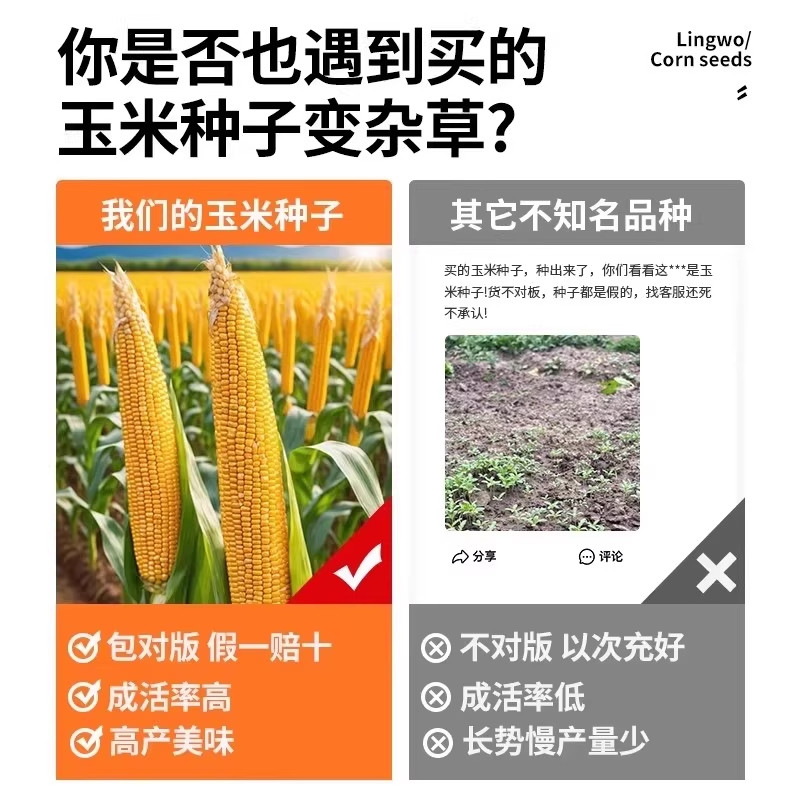 可生吃水果玉米种子超甜超大棒玉米大田高产早熟春秋四季甜玉米籽,淘宝优惠券,粉丝福利购,淘宝优惠卷