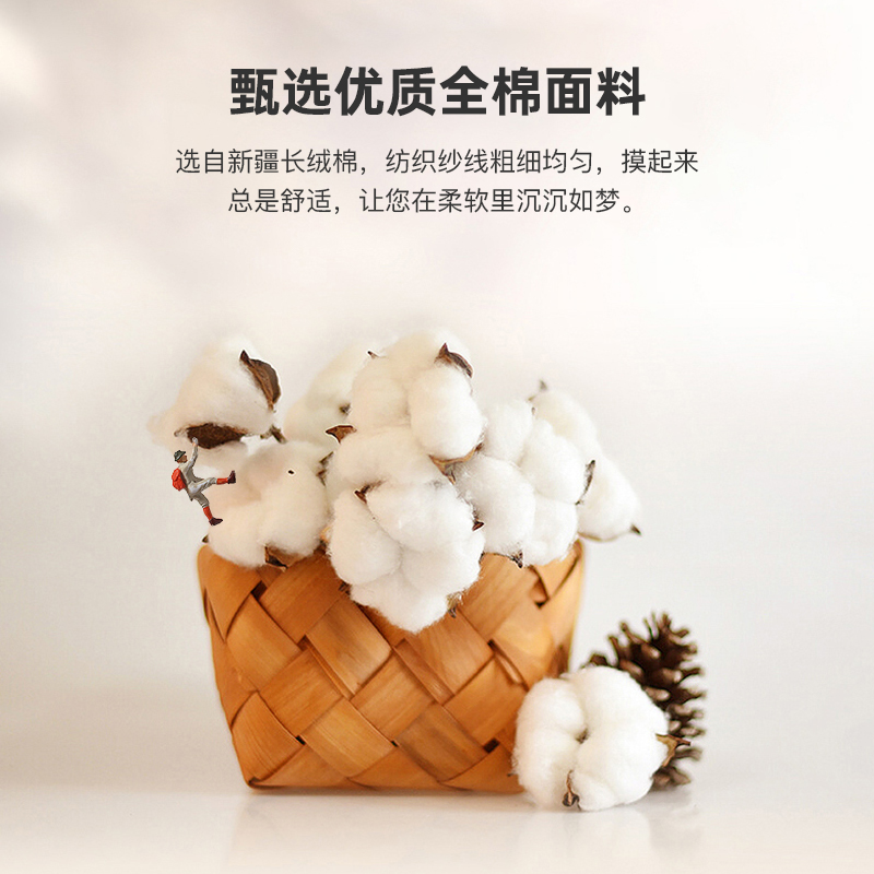 洁丽雅100全棉一对装家用单枕头套 洁丽雅温州枕套