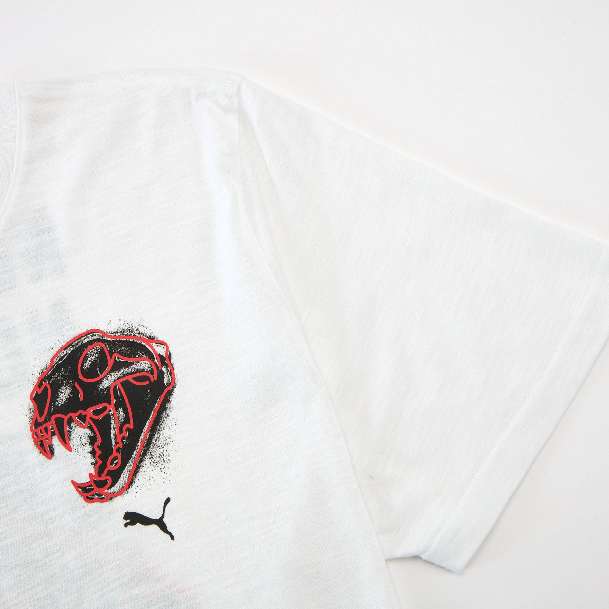 PUMA彪马男子运动训练健身印花短袖T恤 EMBLEM TEE 525099