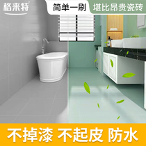 Tile Change Color Paint Toilet Toilet Ground Floor Tile Floor Marble Hearth Renovated Paint Renovation Special Paint