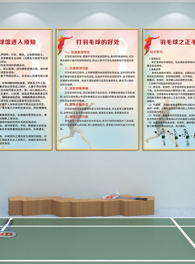 李宗伟林丹石宇奇装饰画相框羽毛球馆体育明星海报kt板墙面装饰