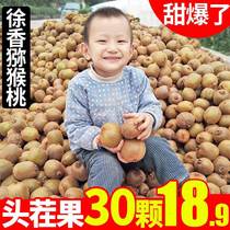 Shaanxi Brow County Xu Xiangqi Exotic Fruits Fresh When Season The Whole Box Is Now Picking Up Positive Emolitum Macaque Exotic Fruits.