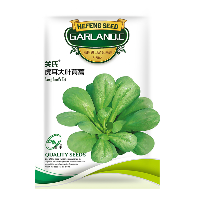 小叶茼蒿种子茼蒿菜籽种光杆大叶茼蒿籽蒿子秆高杆皇帝菜秋季蔬菜