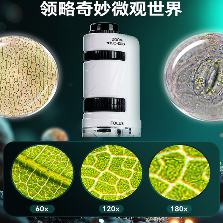显微镜初中小学生专用科学实验玩具儿童手持小型便携放大可看细菌,淘宝优惠券,粉丝福利购,淘宝优惠卷