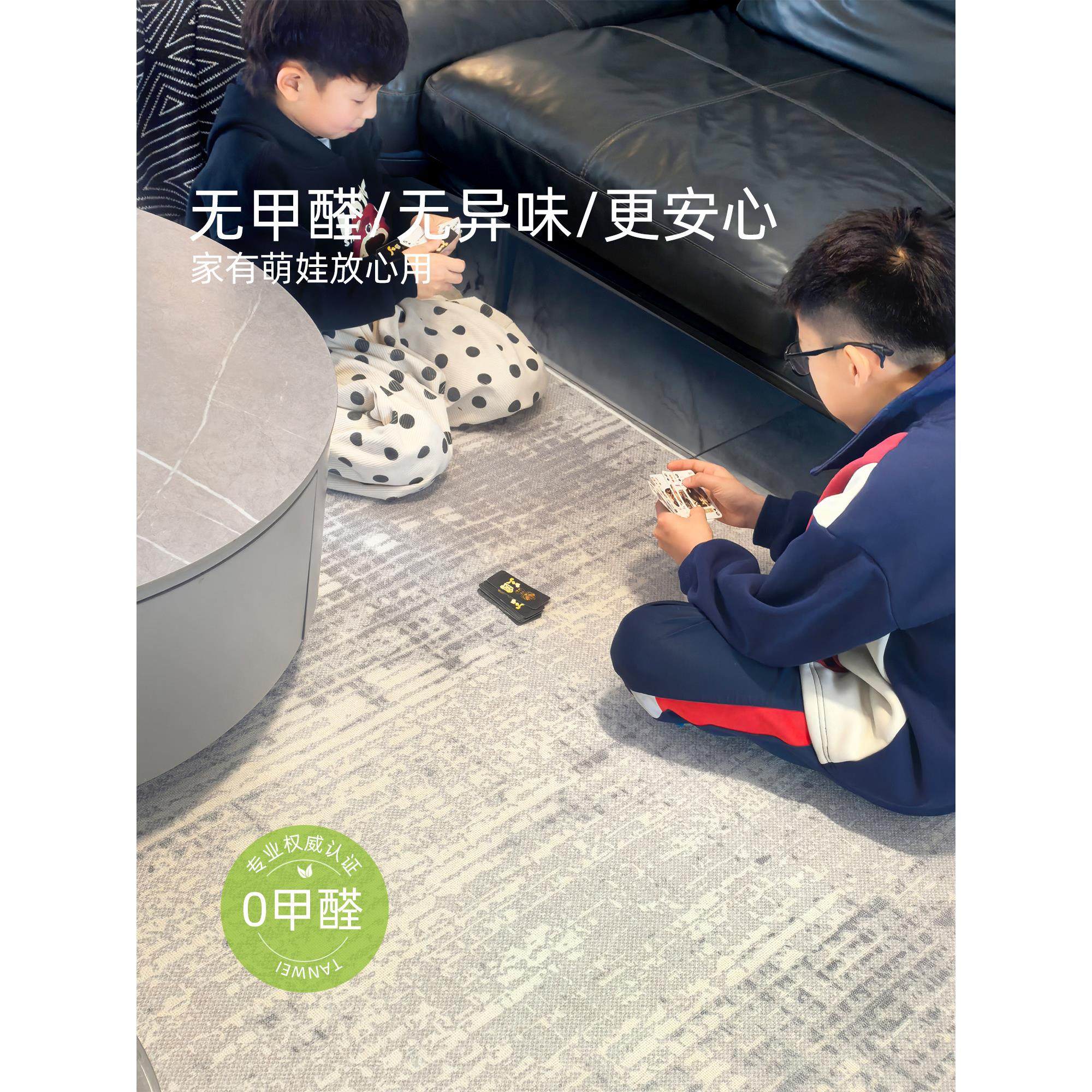 地毯客厅2025新款意式高级感卧室免洗可擦沙发茶几地垫大面积全铺,淘宝优惠券,粉丝福利购,淘宝优惠卷