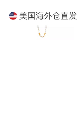 【美国直邮】2028（饰品）  项链及吊坠链子