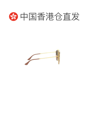 香港直邮RAY-BAN 男士太阳镜 9075690 AW2023 黑色 metal  acetat