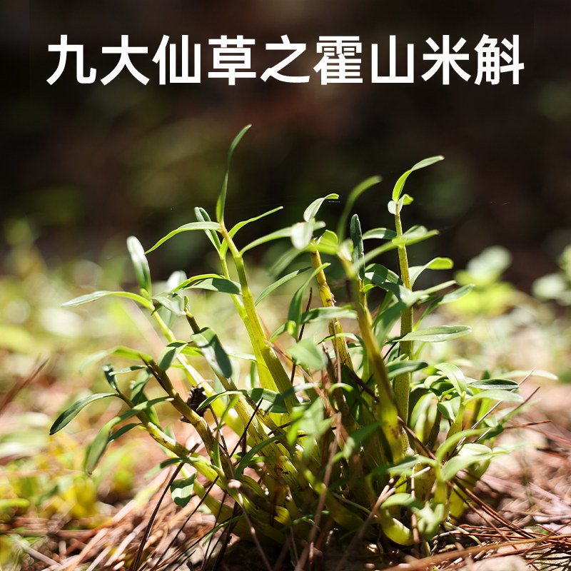  汉方令滋补养生饮