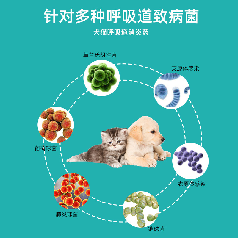 宠物大本营猫咪感冒药猫鼻支治疗药打喷嚏流鼻涕消炎片猫狗犬通用-图1