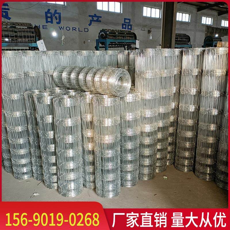  法嘉维呼吸器