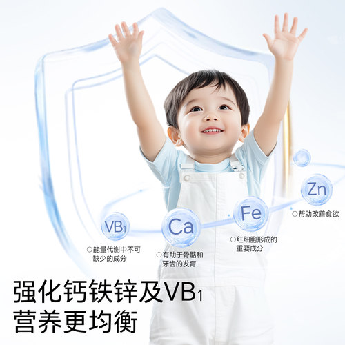 不二宝贝婴儿米饼6个月以上宝宝健康零食搭幼儿无添加磨牙棒饼干 - 图1