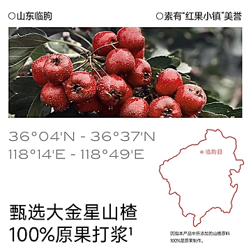 不二宝贝山楂棒棒糖小葫芦[10元优惠券]-寻折猪