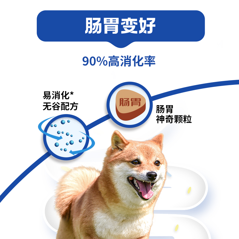 活力泰鲜肉系列功能日粮肠胃鲜肉全价犬粮4.8kg - 图1