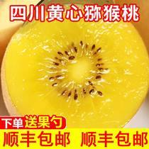 Sichuan Yellow Heart Chic Exotic Fruit Fresh Should Season Fruit Pregnant Woman Chiechifruit Great Fruits Aquato Mud Mikey Peach Whole Box