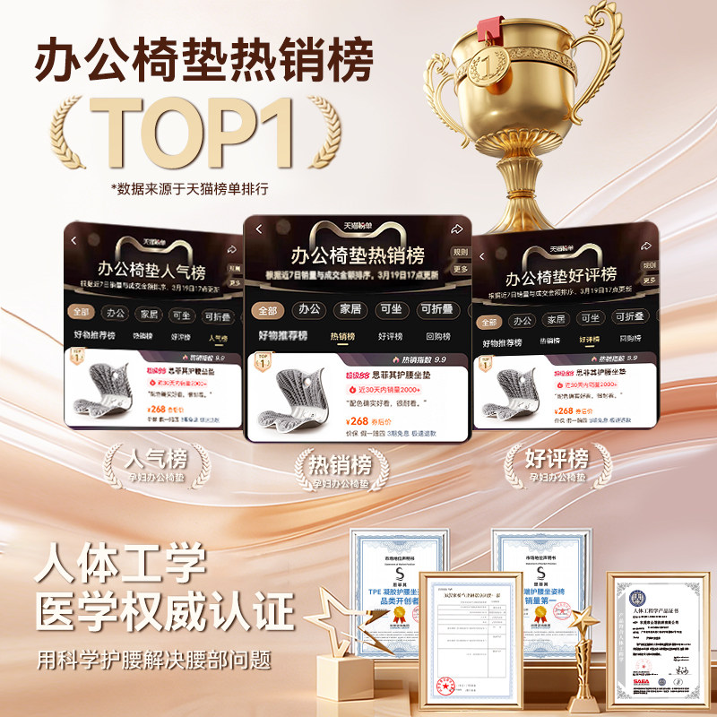 思菲其TPE护腰坐垫靠背一体椅子坐垫久坐神器办公室透气腰靠靠垫