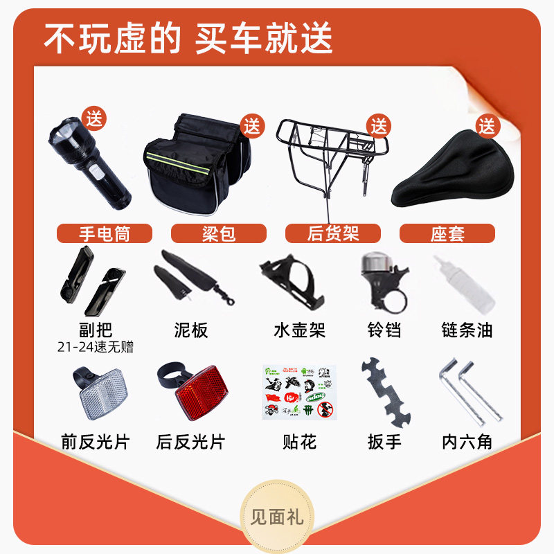 飞鸽成人变速越野青少年学生山地车 飞鸽拉斯米尔山地自行车