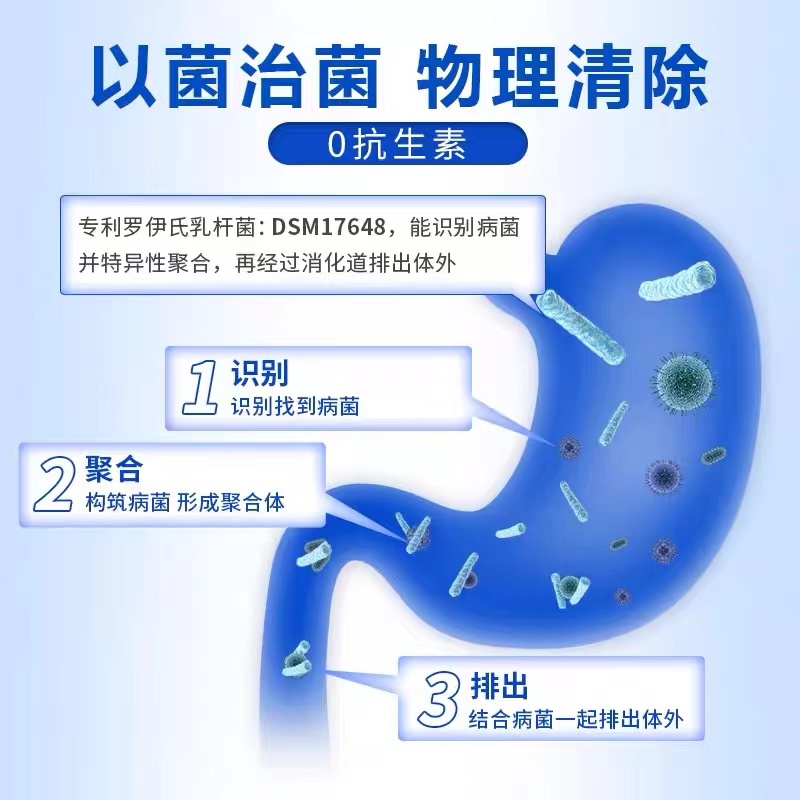 加拿大进口时间秘钥Vivatime多莓果益生菌片罗伊氏乳杆菌成人肠胃