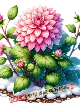 3d仿真花卉图案冰箱贴纸室内门窗玄关墙上遮瑕美化自贴卫生间贴墙