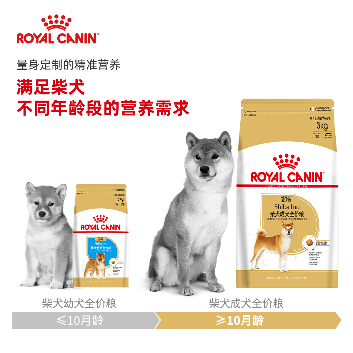 【自营】柴犬狗粮皇家官方SIA26专用3kg中型犬成犬粮6斤宠物干粮 - 图3