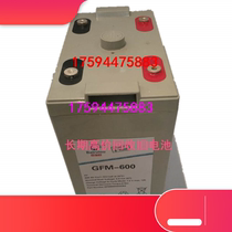 Recommended 100 Rieu storage battery GFM-600 free of maintenance energy storage type ship fire uninterrupted emergency power supply