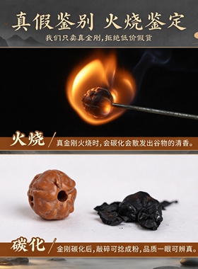 老树王小金刚菩提籽手串