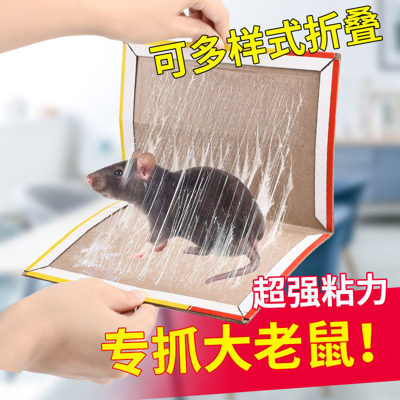 居家居用品卫生间用品用具厨房家用小东西生活日用品百货家庭创意