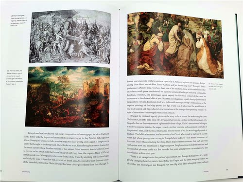 现货 Bosch and Bruegel 波希与勃鲁盖尔 2位文艺复兴大师油画素描版画作品集 文艺复兴时期绘画 英文原版 - 图3