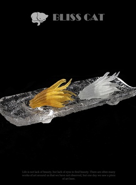 现代轻奢珀晶透明亚克力托盘样板间民宿餐桌茶几书桌树脂茶台摆件