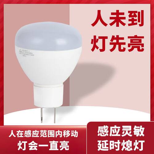 雷达感应灯插头插电感应灯座随调软管夜灯白天不亮天黑亮楼梯车库 - 图3