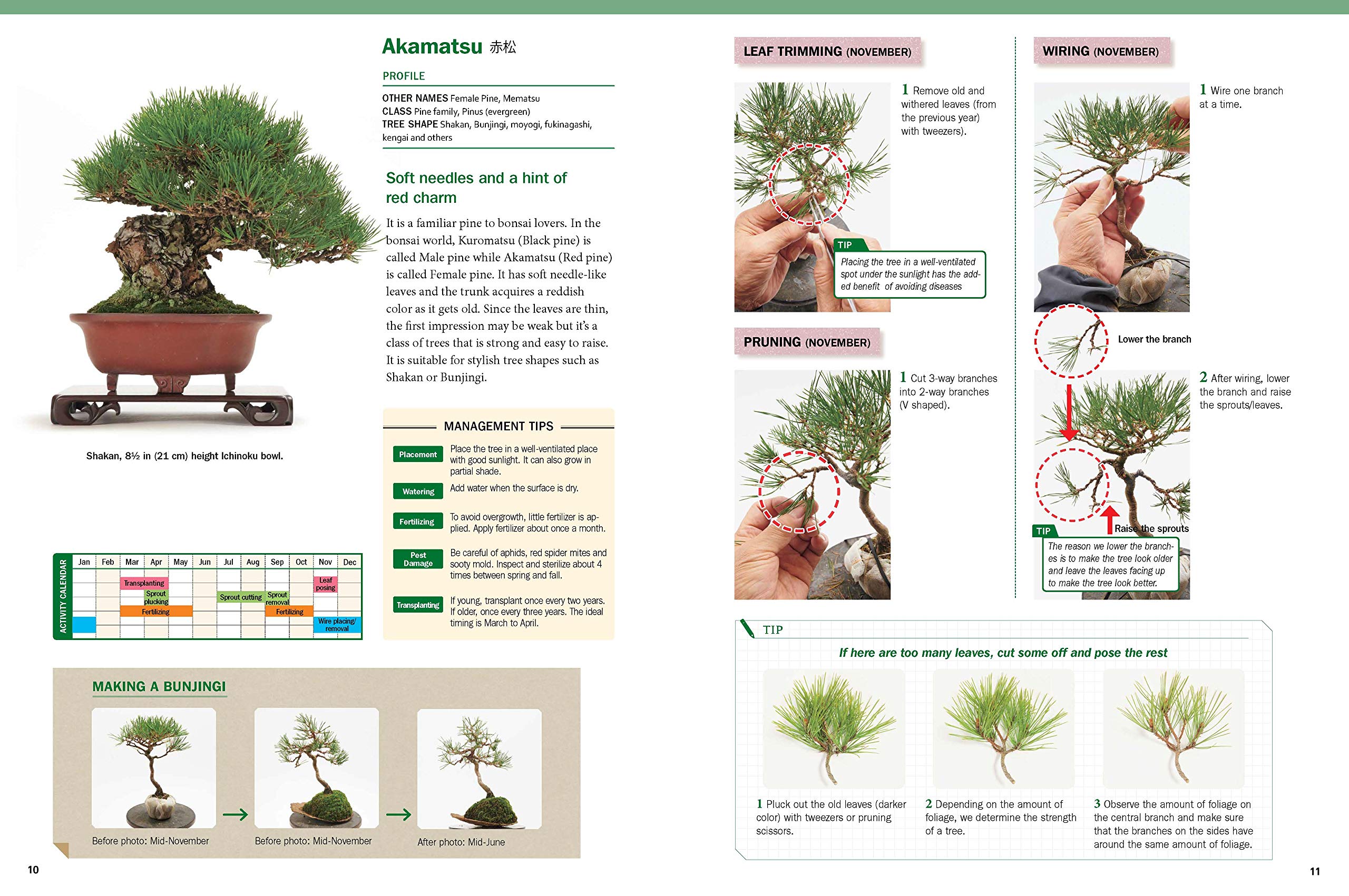 现货 英文版 The Ultimate Bonsai Handbook: The Complete Guide for Beginners 盆栽种植修剪养护指南书 広瀬幸男 Yukio Hirose - 图2