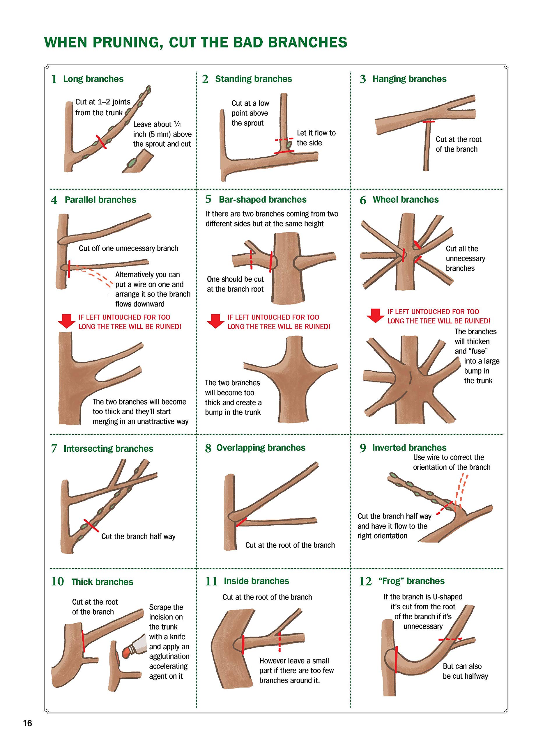 现货 英文版 The Ultimate Bonsai Handbook: The Complete Guide for Beginners 盆栽种植修剪养护指南书 広瀬幸男 Yukio Hirose - 图3