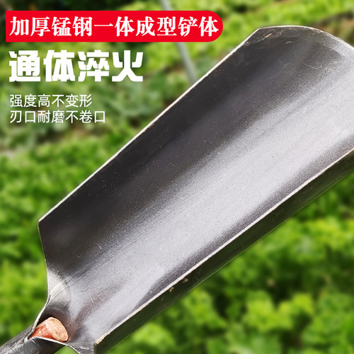 洛阳铲打洞取土挖土神器挖洞打井桩挖坑钻土农用工具正宗勘探铁锹 - 图1