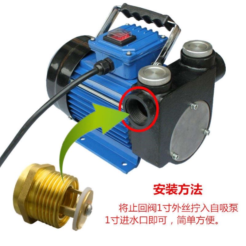 止回阀1寸内外丝家用水泵专用铜单向阀门自吸泵防倒流弹簧止逆阀 - 图0