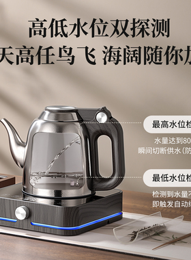 冰晶纯钛防溢水自动上水电热水壶