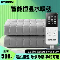 South Korea HYUNDAI water heating electric blanket double 2023 new electric bedding sub water cycle Home Double control Dormitory Bed