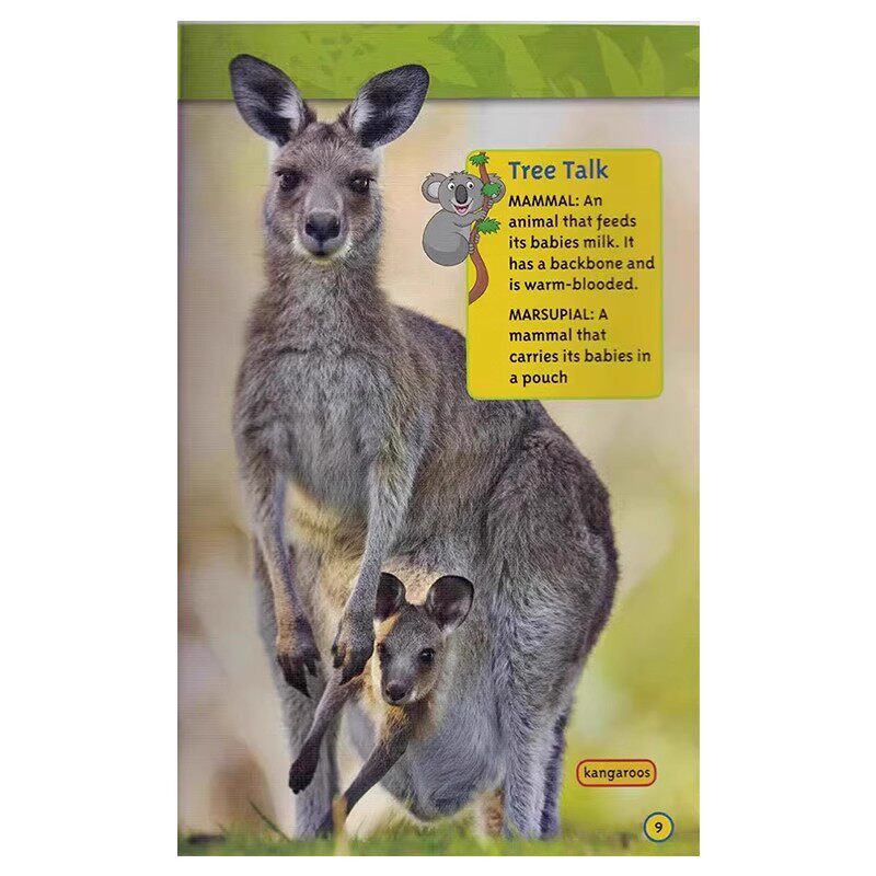 亲子共读系列一阶段15册 英文原版绘本 National Geographic Kids Level 1 Co-reader 美国国家地理分级阅读读物儿童全彩百科全书