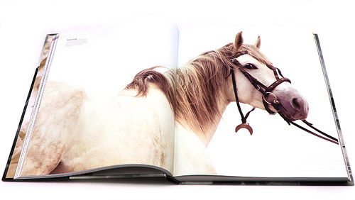 现货 DK 马类图解百科全书 The Horse Encyclopedia 英文原版马类品种 进化解剖起源知识 护理喂养修饰指南 骑马爱好者图书 精装 - 图2